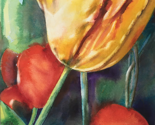 Tulip Study #2