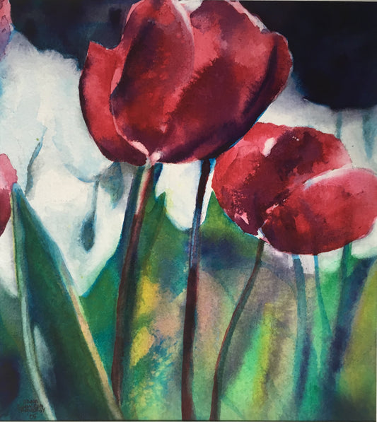 Tulip Study #5