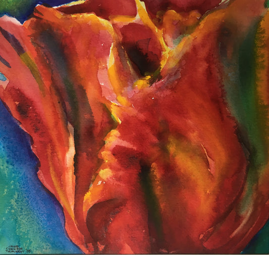 Tulip Study #7