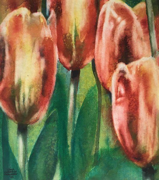 Tulip Study #8